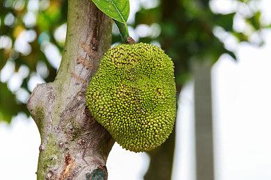 《恐鬼症》自定义难度本月推出 新更新路线图公布